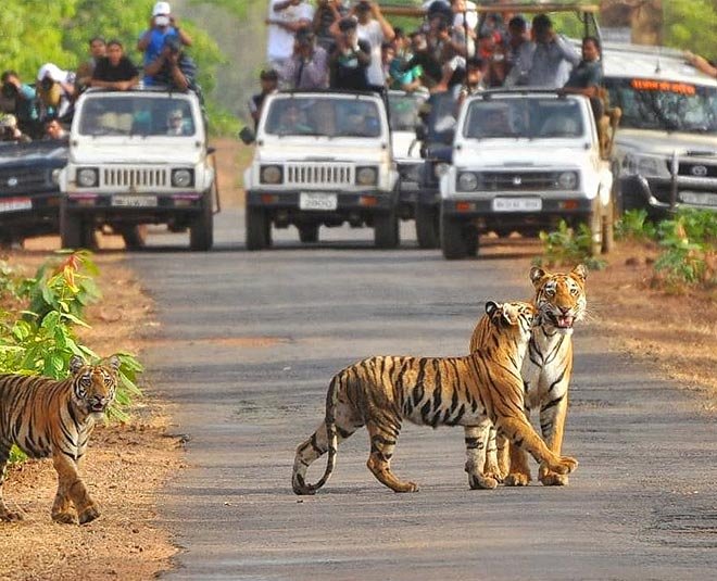 Jim Corbett Tour